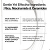 image:imageAnua Rice Ceramide 7 Hydrating Barrier Serum Moisturizing Face Serum Noncomodogenic Hyaluronic Acid Niacinamide Lightweight Fragrance Free Sensitive Dry Skin Korean Skincare 169 fl oz