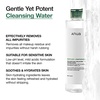 image:imageANUA Heartleaf Low pH Deep Cleansing Water Micella Water Panthenol Squalane Makeup Remover for Sensitive Skin Korean Skin Care 500g 1763 oz1763 Ounce Pack of 1